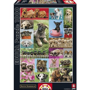 Educa (14441) - "Little Dogs" - 1000 pieces puzzle