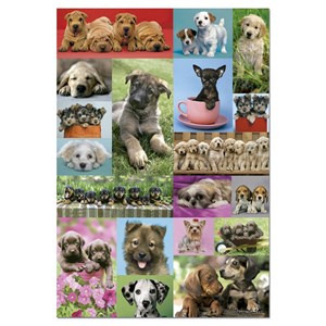 Educa (14441) - "Little Dogs" - 1000 pieces puzzle
