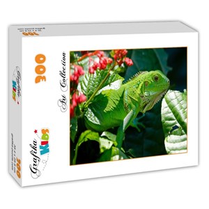 Grafika Kids (00510) - "Iguana" - 300 pieces puzzle