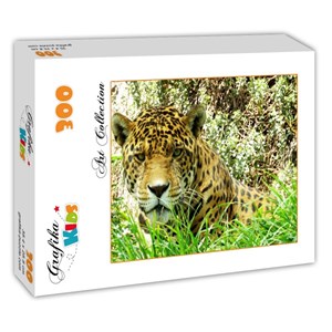 Grafika Kids (00535) - "Jaguar" - 300 pieces puzzle
