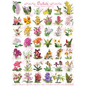 Eurographics (6000-0655) - "Orchids" - 1000 pieces puzzle
