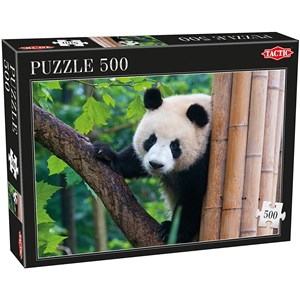 Tactic (53558) - "Panda" - 500 pieces puzzle