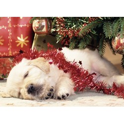 Ravensburger (07546) - "Christmas Puppy" - 80 pieces puzzle