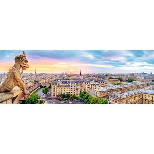 Trefl (29029) - "View from the Cathedral of Notre-Dame de Paris" - 1000 pieces puzzle