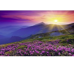 Ravensburger (19608) - "Sunrise, Mountain Meadow" - 1000 pieces puzzle