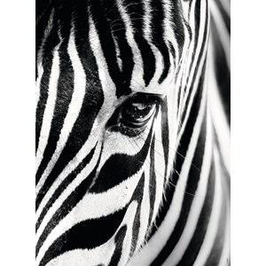 Ravensburger (14735) - "Zebra" - 500 pieces puzzle