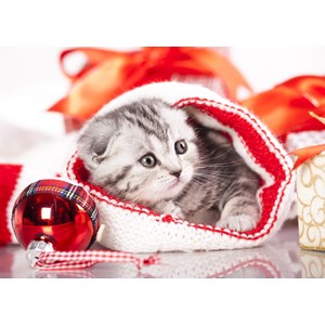 Grafika Kids (01129) - "Christmas Kitten" - 24 pieces puzzle