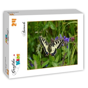 Grafika Kids (01224) - "Butterfly" - 24 pieces puzzle