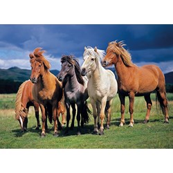 Tactic (53929) - "Camargue Horses" - 1000 pieces puzzle
