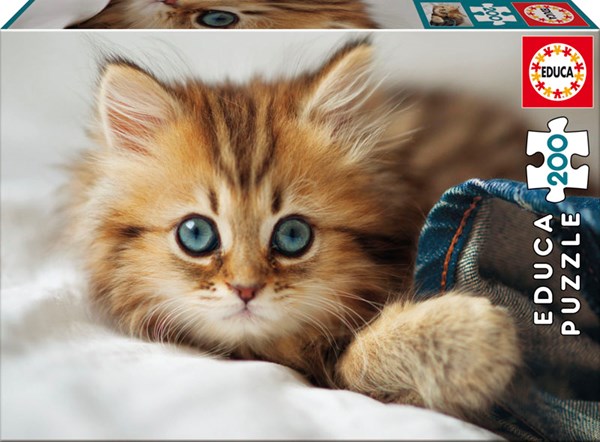 Educa (17154) - "Kitten" - 200 pieces puzzle