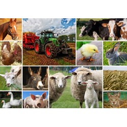 Grafika (T-00140) - "Collage, Farmyard Animals" - 2000 pieces puzzle