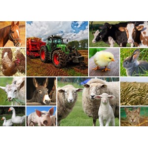 Grafika (T-00140) - "Collage, Farmyard Animals" - 2000 pieces puzzle