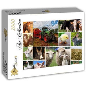 Grafika (T-00140) - "Collage, Farmyard Animals" - 2000 pieces puzzle