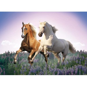 Clementoni (30287) - "Free Horses" - 500 pieces puzzle