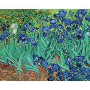 Pomegranate (AA331) - Vincent van Gogh: "Irises" - 1000 pieces puzzle