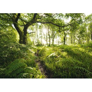 Schmidt Spiele (59382) - Stefan Hefele: "The Enchanted Path" - 1000 pieces puzzle