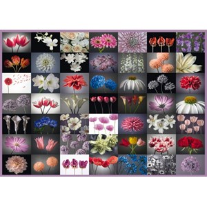 Schmidt Spiele (58297) - "Flower Greeting" - 2000 pieces puzzle