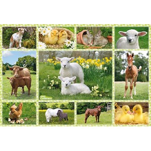 Schmidt Spiele (56194) - "Babies Animals of the Farm" - 100 pieces puzzle