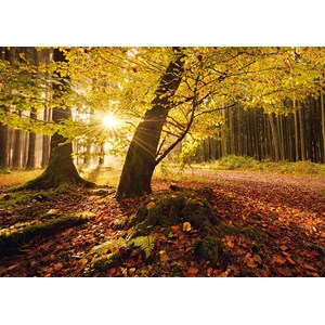 Schmidt Spiele (59384) - Stefan Hefele: "Autumn Magic" - 1000 pieces puzzle