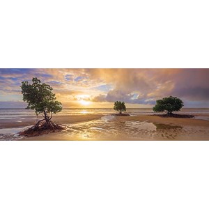 Schmidt Spiele (59394) - Mark Gray: "Cape Tribulation, Daintree national Park, Queensland, Australia" - 1000 pieces puzzle