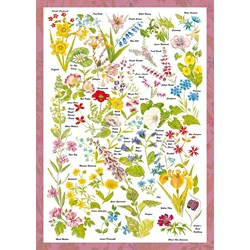 Schmidt Spiele (59566) - "Wild Flowers" - 1000 pieces puzzle