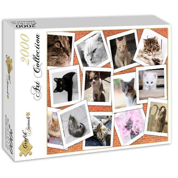 Grafika (02212) - "Cats" - 2000 pieces puzzle