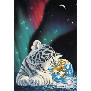 Grafika (02402) - Schim Schimmel: "Earth Light" - 1000 pieces puzzle