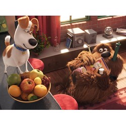 Ravensburger (13674) - "Secret Life of Pets" - 300 pieces puzzle
