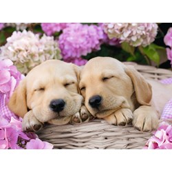 Sweet Dogs in A Basket Puzzle - 300 piece