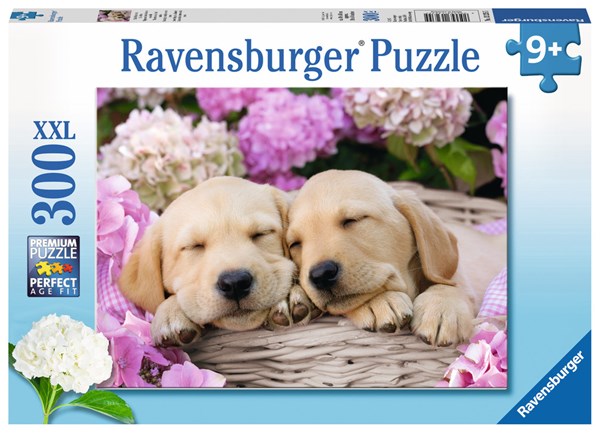 Sweet Dogs in A Basket Puzzle - 300 piece