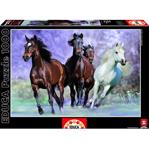 Educa (14809) - "Galloping" - 1000 pieces puzzle