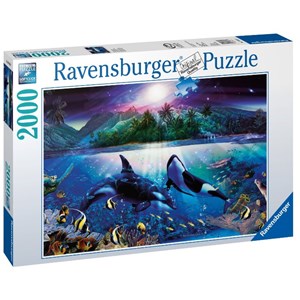Ravensburger (16661) - "Graceful Killer Whales" - 2000 pieces puzzle