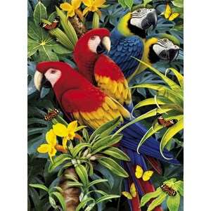Rond en rond Behoefte aan bus Clementoni (39188) - "The Parrots" - 1000 pieces puzzle