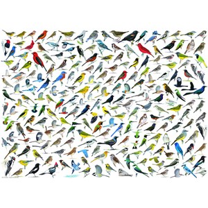 Eurographics (6000-0821) - "The World of Birds" - 1000 pieces puzzle