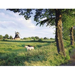 Ravensburger (16635) - "Horse From Wind Mill" - 2000 pieces puzzle