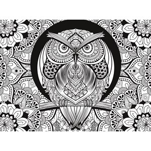 Clementoni (35050) - "Owl" - 500 pieces puzzle