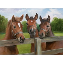 Ravensburger (14566) - "Ponies" - 500 pieces puzzle