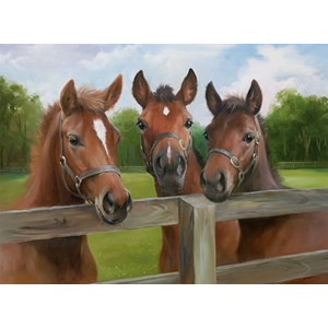 Ravensburger (14566) - "Ponies" - 500 pieces puzzle