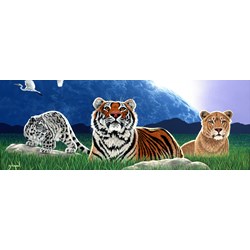 Grafika (02602) - Schim Schimmel, William Schimmel: "Shared World" - 2000 pieces puzzle