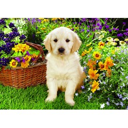 Trefl (371604) - Greg Cuddiford: "Labrador Puppy in the Garden" - 500 pieces puzzle