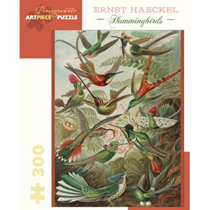 Pomegranate (JK053) - Ernst Haeckel: "Hummingbirds" - 300 pieces puzzle