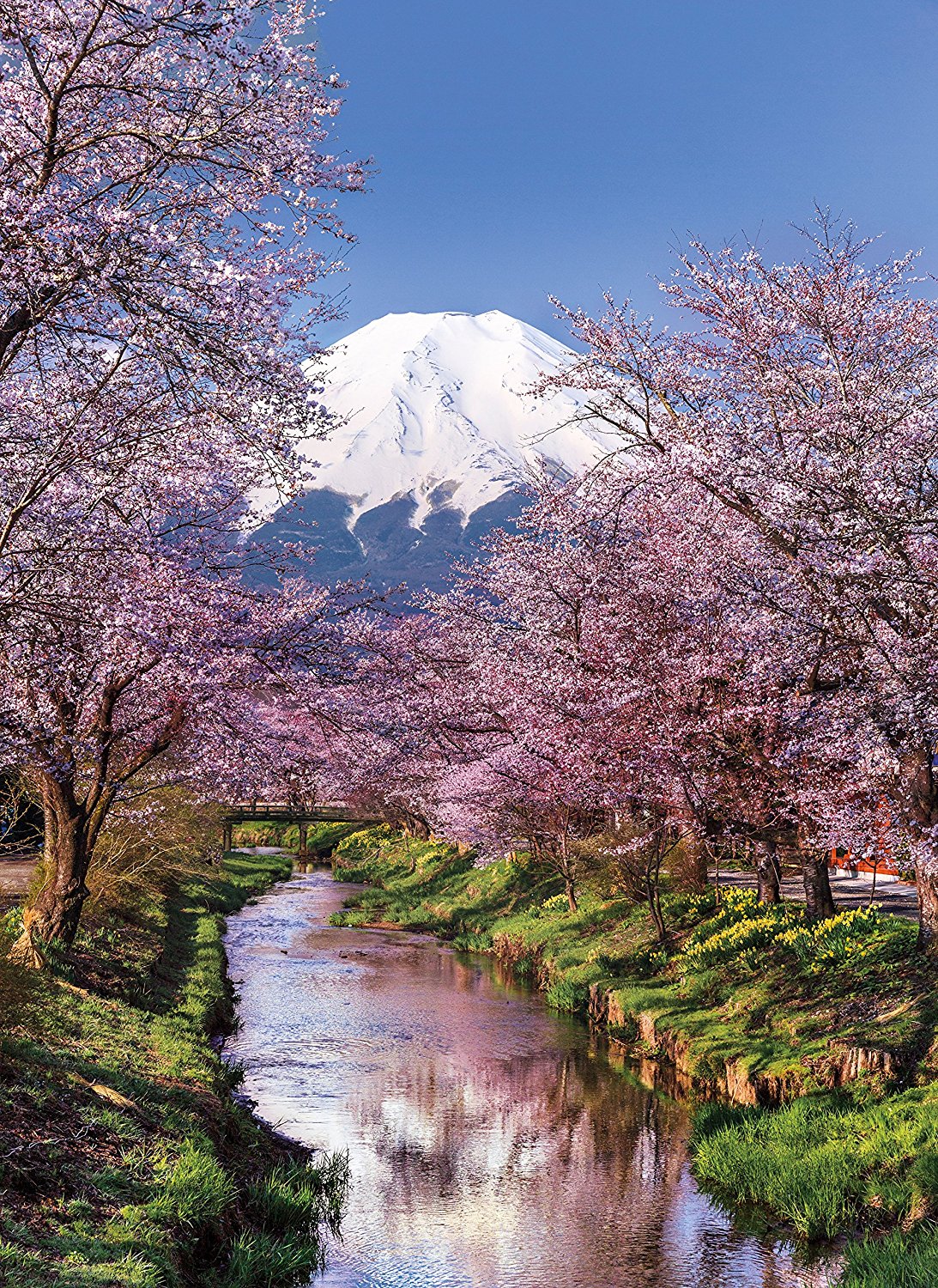 Educa 16775 Mount Fuji 2000 Teile Puzzle 