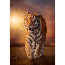 Clementoni (31806) - "Tiger" - 1500 pieces puzzle