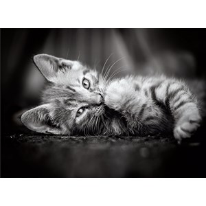 Clementoni (39422) - "Kitten" - 1000 pieces puzzle