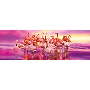 Clementoni (39427) - "Flamingo Dance" - 1000 pieces puzzle