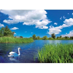 Ravensburger (14230) - "Swan Idyll" - 500 pieces puzzle