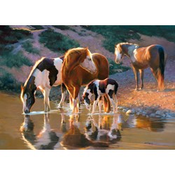 Castorland (B-52097) - "Night Cap" - 500 pieces puzzle