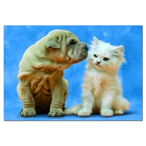 Educa (14806) - "Secrets" - 500 pieces puzzle