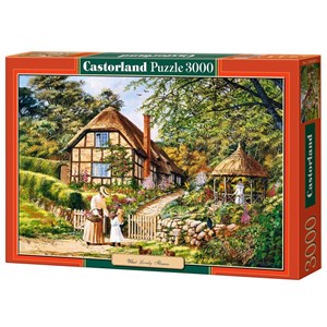 Castorland (C-300358) - "What Lovely Flowers" - 3000 pieces puzzle