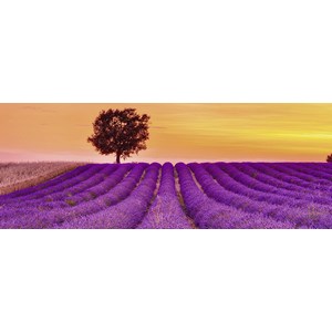 Ravensburger (15068) - "Lavender Fields" - 1000 pieces puzzle